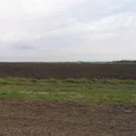 Земля сельскохозяйственного назначения.